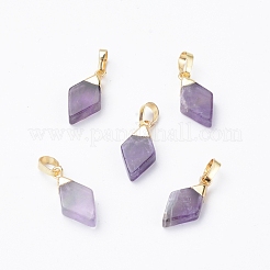Natural Amethyst Pendants&nbsp;G-E564-05B-G