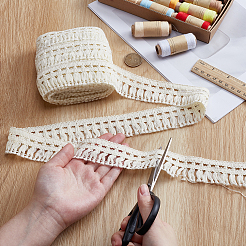 Polyester Tassel Lace Ribbon&nbsp;OCOR-WH0105-196A