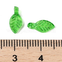 Transparent Acrylic Charms&nbsp;X-TACR-F009-11E