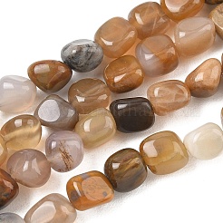 Natural Petrified Wood Beads Strands&nbsp;GG-CBA9392-31