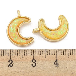 Translucent Resin Pendants&nbsp;KK-M291-23G