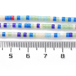 Handmade Lampwork Beads Strands&nbsp;LAMP-L078-008M
