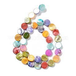 Natural Freshwater Shell Beads Strands&nbsp;SHEL-D082-15A