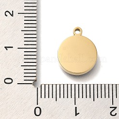Ion Plating(IP) 304 Stainless Steel Enamel Charms&nbsp;STAS-P371-075G