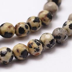 Natural Dalmatian Jasper Beads Strands&nbsp;G-D840-49-4mm