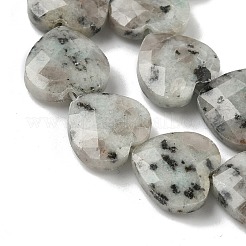 Natural Sesame Jasper/Kiwi Jasper Beads Strands&nbsp;G-A309-A03-01