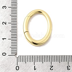 Brass Spring Gate Rings&nbsp;KK-I364-30G