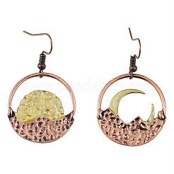 Zinc Alloy Dangle Earrings&nbsp;FS-WG79C84-01