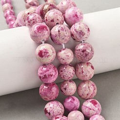 Natural Fossil Graduated Beads Strands&nbsp;G-F830-A03-01
