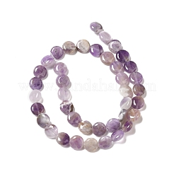 Natural Amethyst Beads Strands&nbsp;G-P489-05