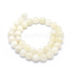 Natural Rainbow Moonstone Strands&nbsp;G-G764-45-10mm