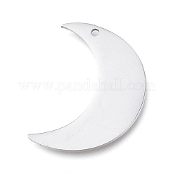 Tarnish Resistant 304 Stainless Steel Pendants&nbsp;STAS-L238-102B-P