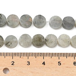 Natural Labradorite Beads Strands&nbsp;G-M454-B07