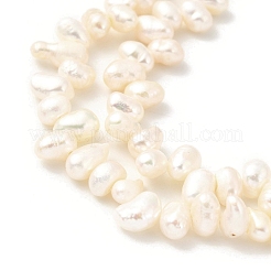 Natural Cultured Freshwater Pearl Beads Strands&nbsp;PEAR-A006-23C-X