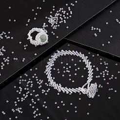 Grade A Round Glass Seed Beads&nbsp;SEED-PH0002-50B