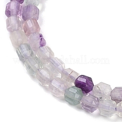 Natural Fluorite Beads Strands&nbsp;G-O201B-101A