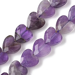 Natural Amethyst Beads Strands&nbsp;G-D316-B13
