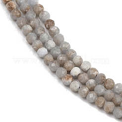 Natural Angelite Beads Strands&nbsp;G-RM2025-A48-B