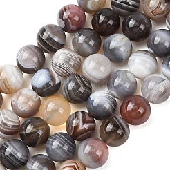 Natural Botswana Agate Beads Strands&nbsp;G-G453-A01-10mm