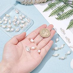 40Pcs 4 Style Natural Cultured Freshwater Pearl Beads Links Connectors&nbsp;FIND-NB0002-11