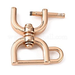 Zinc Alloy D-Rings with Screw Shackle&nbsp;FIND-WH0044-43KCG