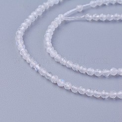 Natural Rainbow Moonstone Beads Strands&nbsp;G-F619-19-2mm