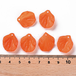 Transparent Frosted Acrylic Pendants&nbsp;MACR-S371-01A-726