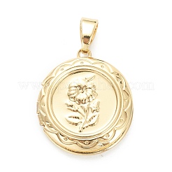 Brass Locket Pendants&nbsp;KK-P199-07G