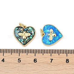 Brass Charms&nbsp;KK-R213-01G