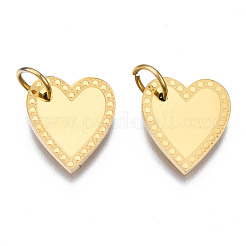 316 Surgical Stainless Steel Charms&nbsp;STAS-N097-021