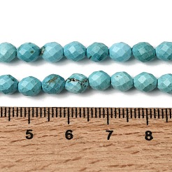 Dyed Natural Howlite Beads Strands&nbsp;G-K376-F06-01