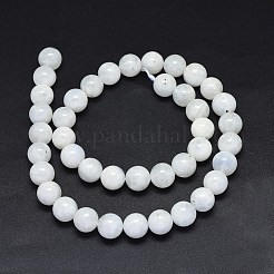 Natural Rainbow Moonstone Beads Strands&nbsp;G-F602-03-10mm