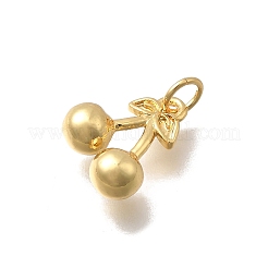 Brass Charms&nbsp;KK-D431-038G