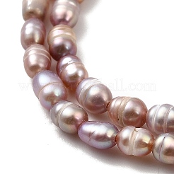 Natural Cultured Freshwater Pearl Beads Strands&nbsp;PEAR-I007-01L-02