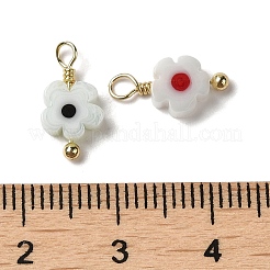 Glass Charms&nbsp;KK-P242-13G
