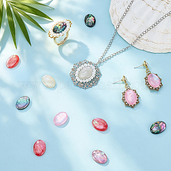 18Pcs 6 Colors Natural Shell Cabochons with Enamel&nbsp;BSHE-PH0001-66