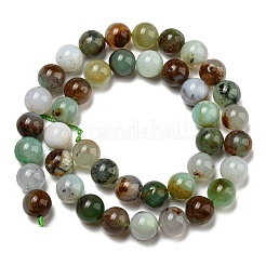 Natural Serpentine Beads Strands&nbsp;G-R494-A03-04