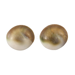 Sea Shell Stud Earrings&nbsp;EJEW-JE07325