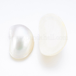 Natural White Shell Mother of Pearl Shell Cabochons&nbsp;SSHEL-P014-01B