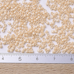 MIYUKI Delica Beads&nbsp;SEED-JP0008-DB0205