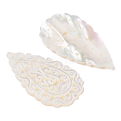 Natural White Shell Carved Cabochons&nbsp;SSHEL-C012-13