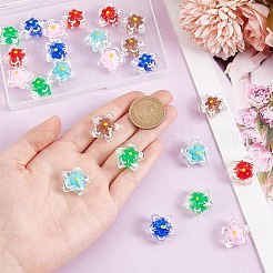 24Pcs 6 Colors Handmade Lampwork Beads&nbsp;LAMP-AR0001-31