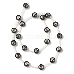 Handmade Lampwork Beads Strands&nbsp;LAMP-F028-01E