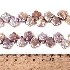Natural Baroque Keshi Pearl Beads Strands&nbsp;PEAR-S020-A04-01