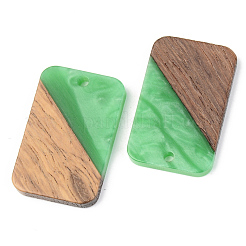 Resin & Walnut Wood Pendants&nbsp;RESI-S389-049A