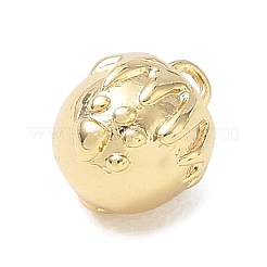 Brass Charms&nbsp;KK-CBACBD7-10G