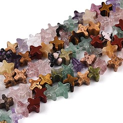 Natural Mixed Gemstone Beads Strands&nbsp;G-T143-31