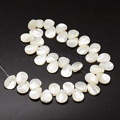 Natural Trochid Shell/Trochus Shell Beads Strands&nbsp;SSHEL-K009-08