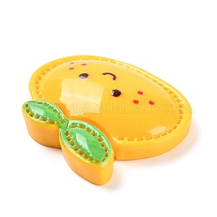 Animal Theme Opaque Resin Cabochons&nbsp;LS-RESI-E046-01E