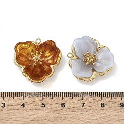 304 Stainless Steel Pendants&nbsp;STAS-F345-04G